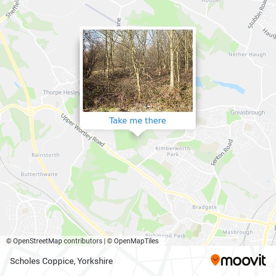 Scholes Coppice map