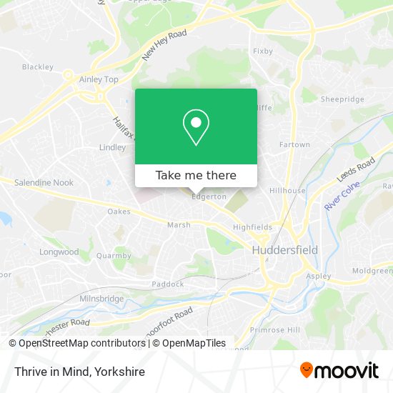Thrive in Mind map
