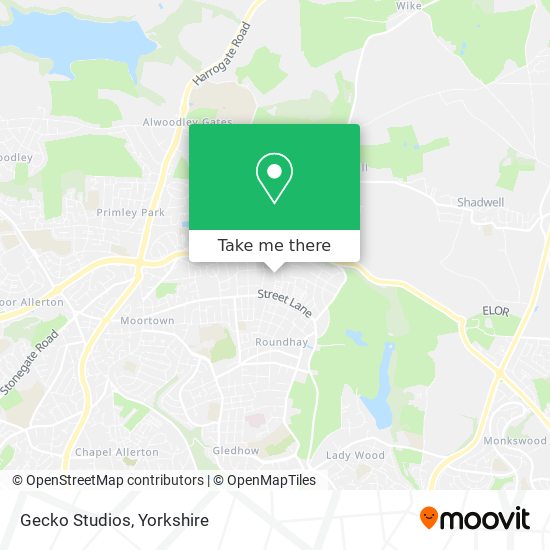 Gecko Studios map