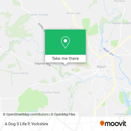 A Dog S Life P map