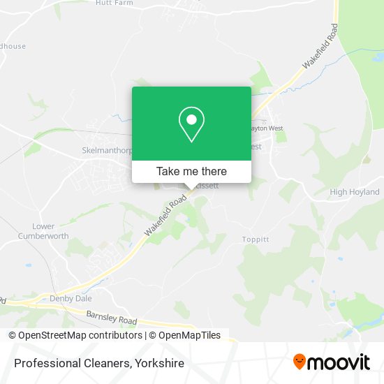 Professional Cleaners map