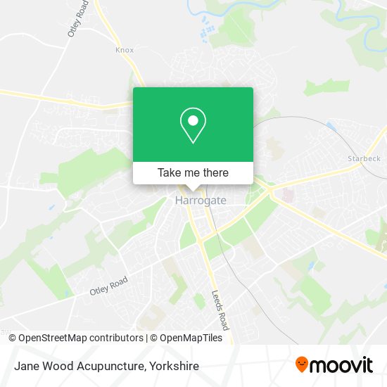 Jane Wood Acupuncture map