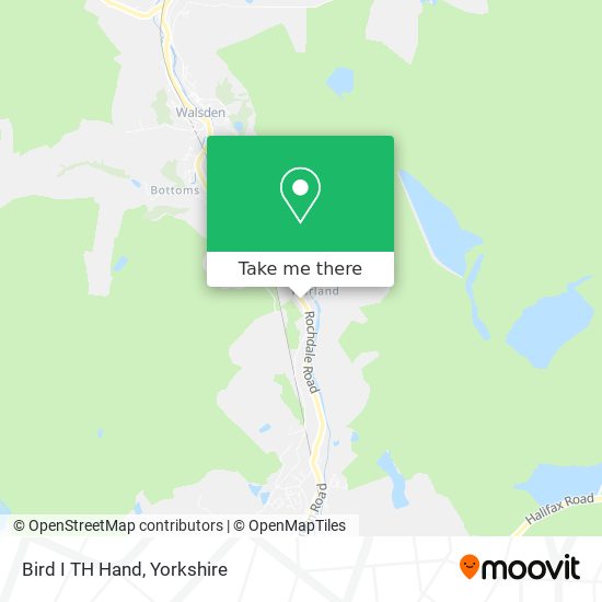 Bird I TH Hand map