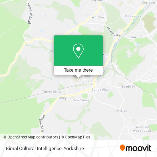 Bimal Cultural Intelligence map