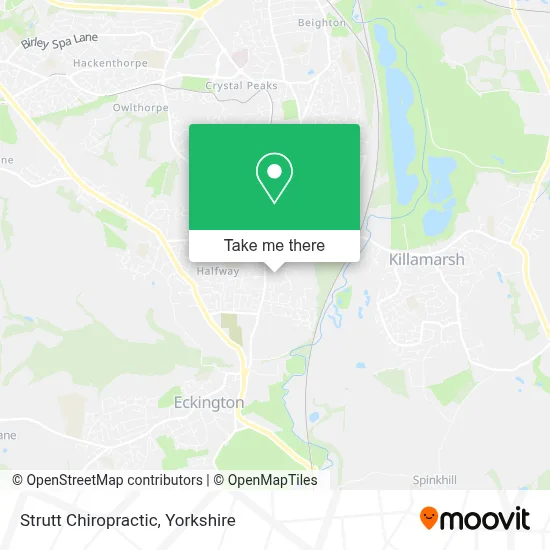 Strutt Chiropractic map