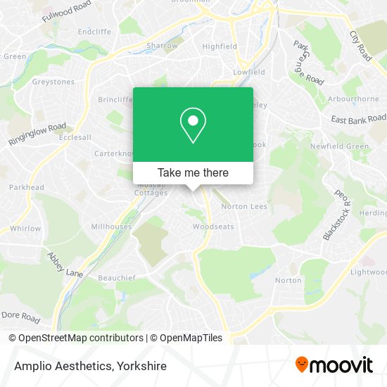 Amplio Aesthetics map