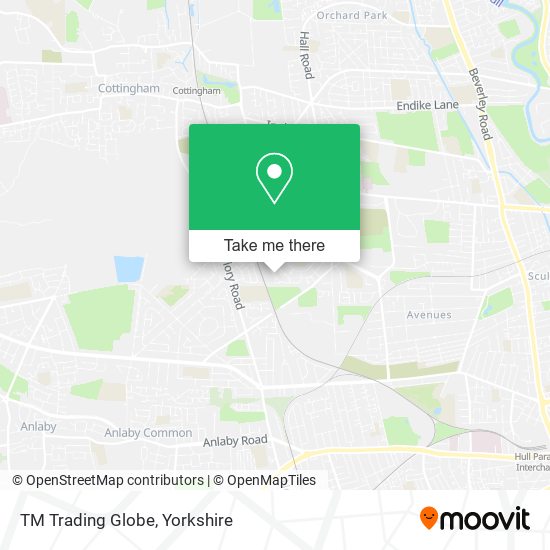 TM Trading Globe map