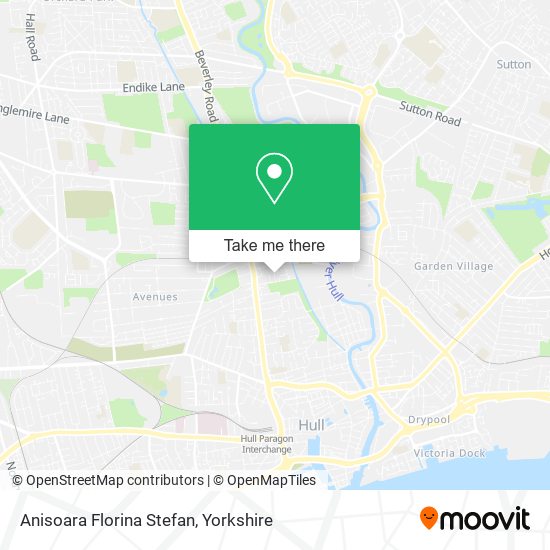 Anisoara Florina Stefan map