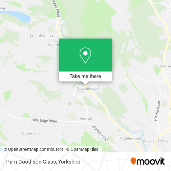 Pam Goodison Glass map