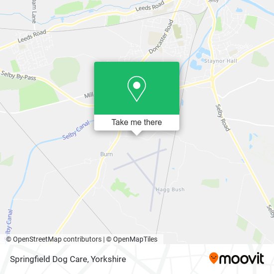 Springfield Dog Care map