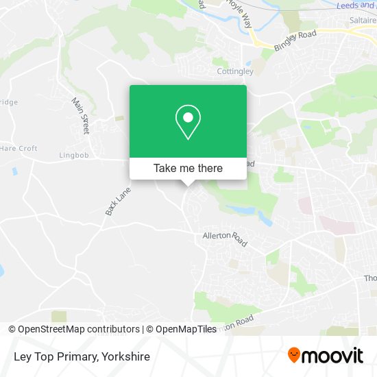 Ley Top Primary map