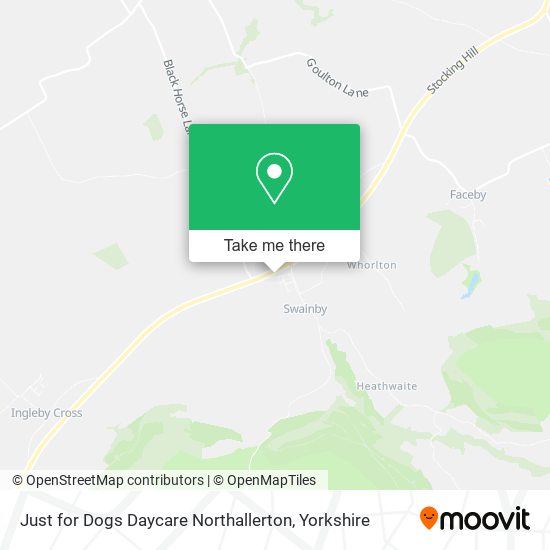 Just for Dogs Daycare Northallerton map