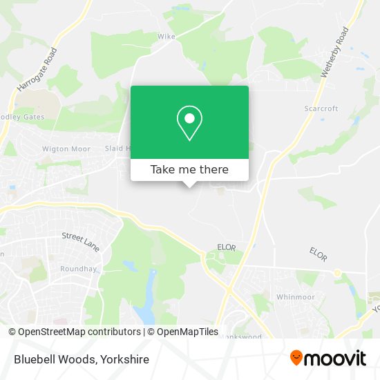 Bluebell Woods map