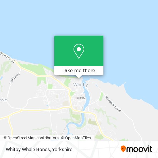 Whitby Whale Bones map