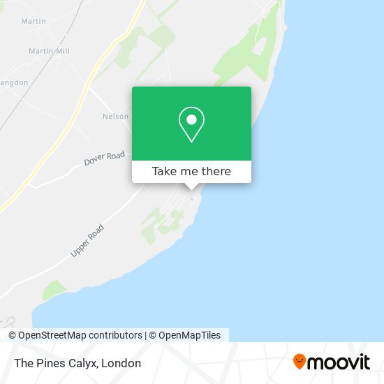 The Pines Calyx map
