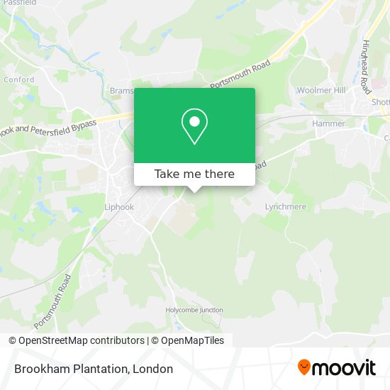 Brookham Plantation map