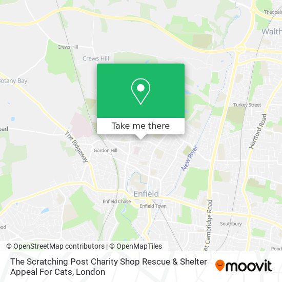 The Scratching Post Charity Shop Rescue & Shelter Appeal For Cats map