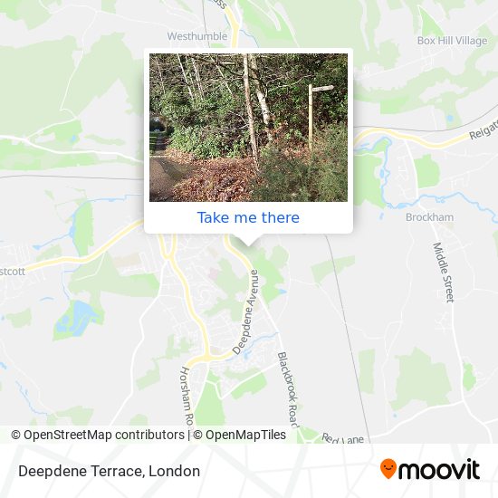 Deepdene Terrace map