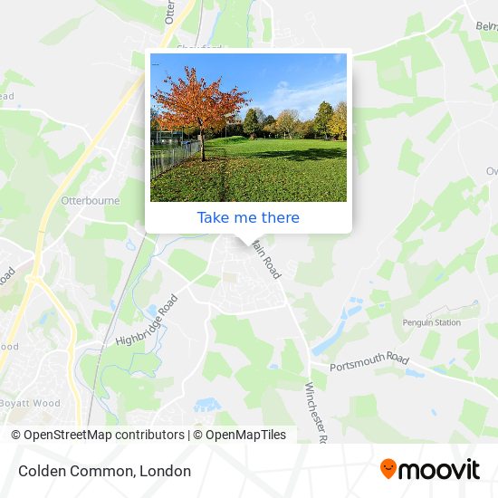 Colden Common map