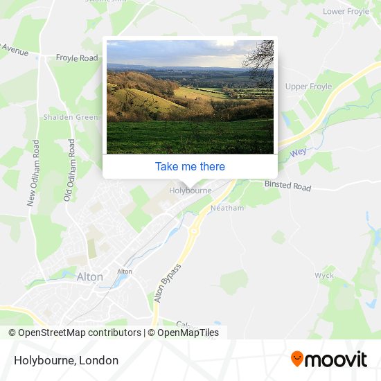 Holybourne map