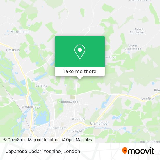 Japanese Cedar 'Yoshino' map