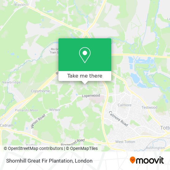 Shornhill Great Fir Plantation map
