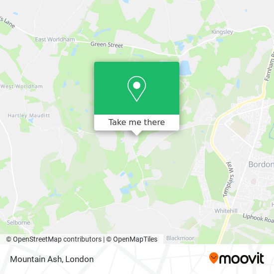 Mountain Ash map