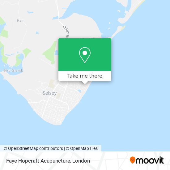 Faye Hopcraft Acupuncture map