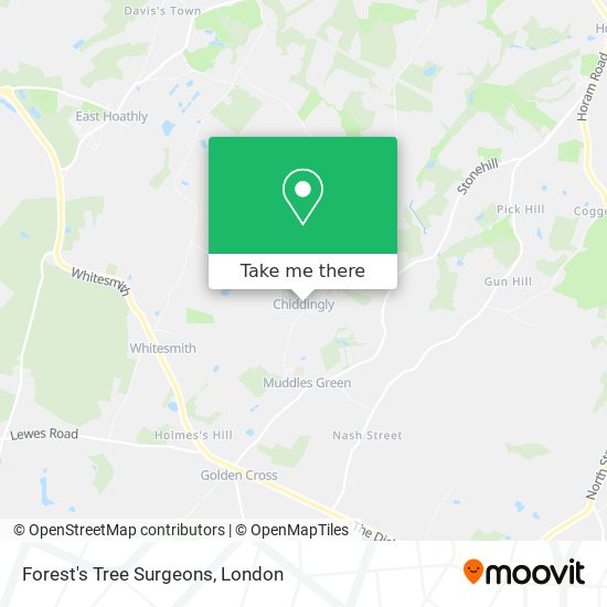 Forest's Tree Surgeons map