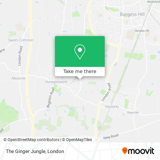 The Ginger Jungle map
