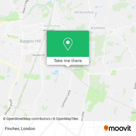 Finches map