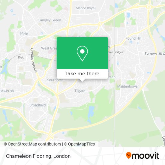 Chameleon Flooring map