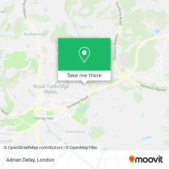 Adrian Delay map
