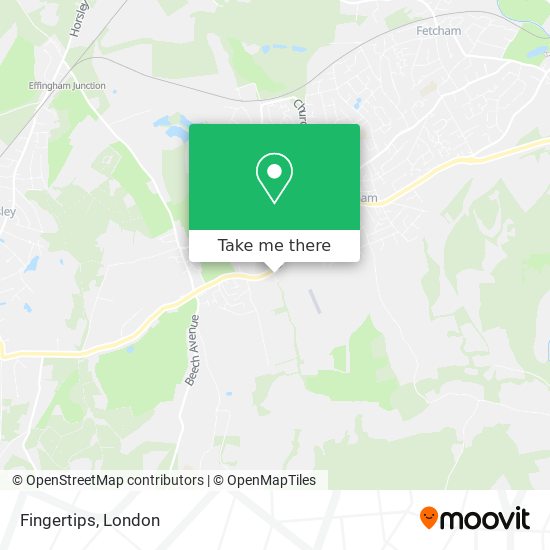 Fingertips map