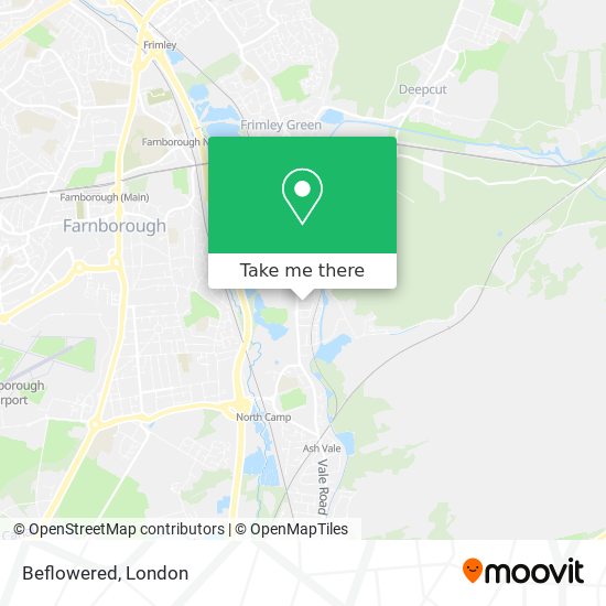 Beflowered map