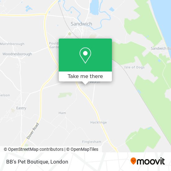 BB's Pet Boutique map