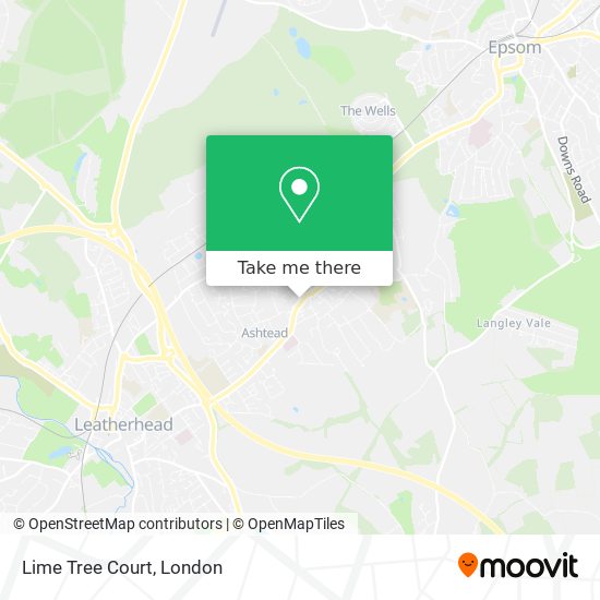 Lime Tree Court map