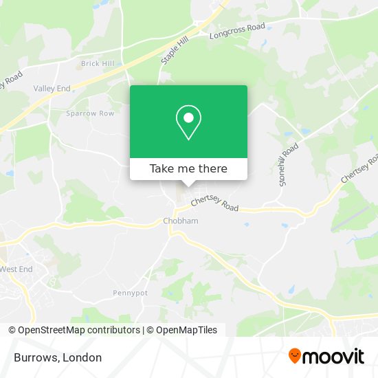 Burrows map