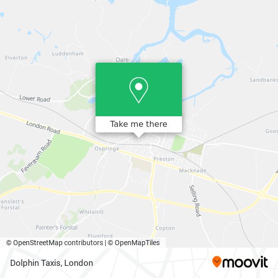 Dolphin Taxis map