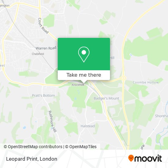 Leopard Print map