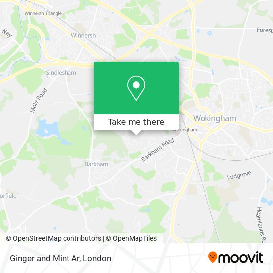 Ginger and Mint Ar map