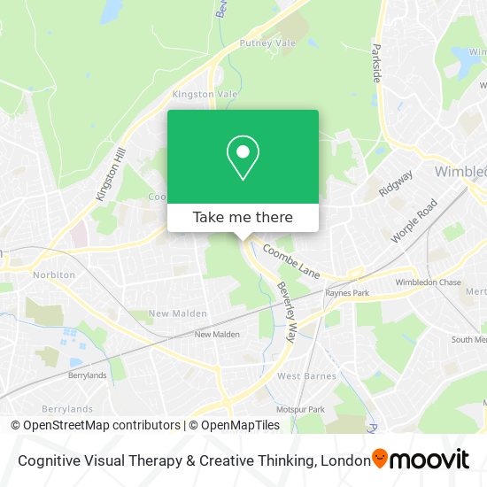 Cognitive Visual Therapy & Creative Thinking map