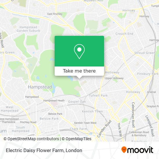 Electric Daisy Flower Farm map