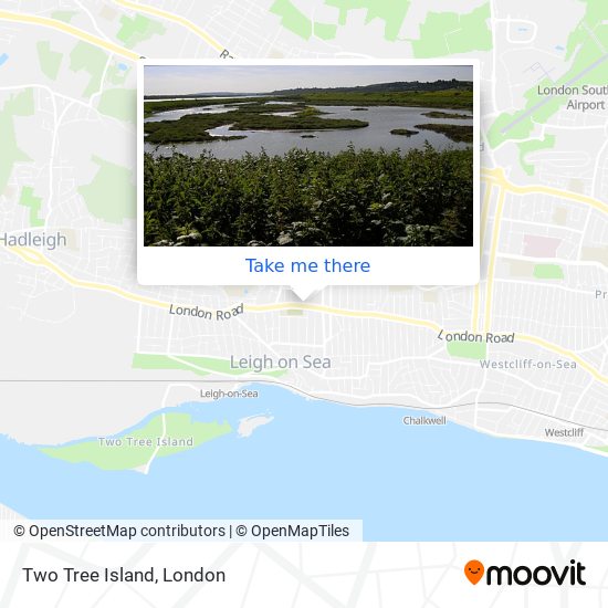 Two Tree Island map