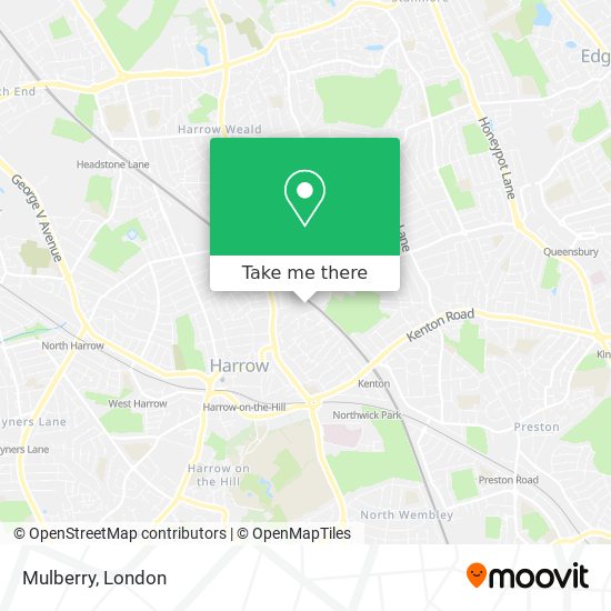 Mulberry map