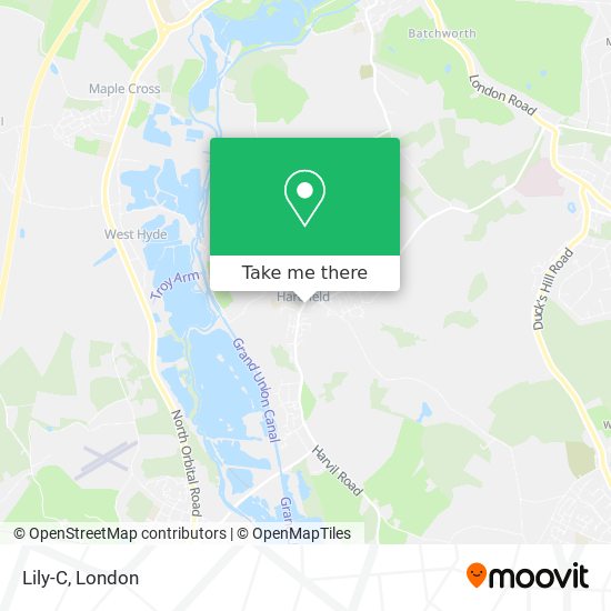 Lily-C map
