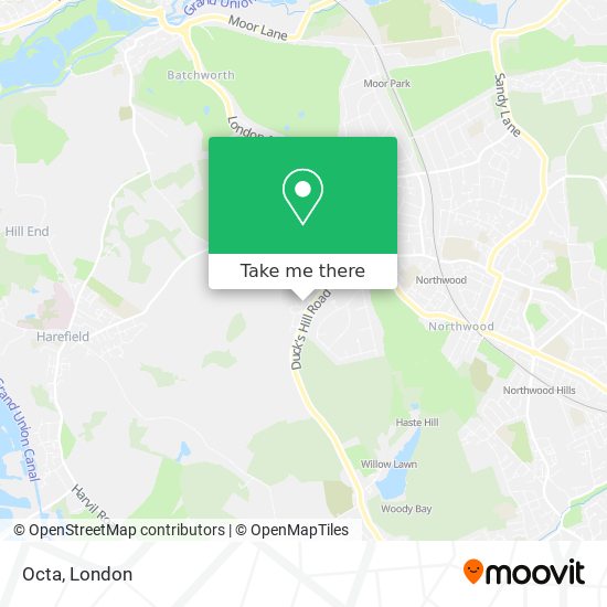 Octa map