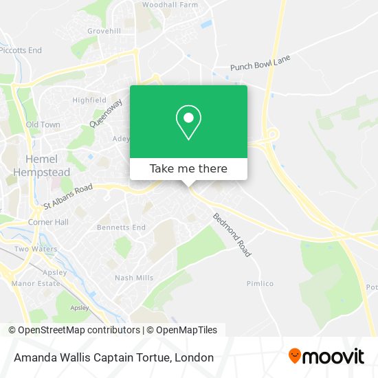 Amanda Wallis Captain Tortue map
