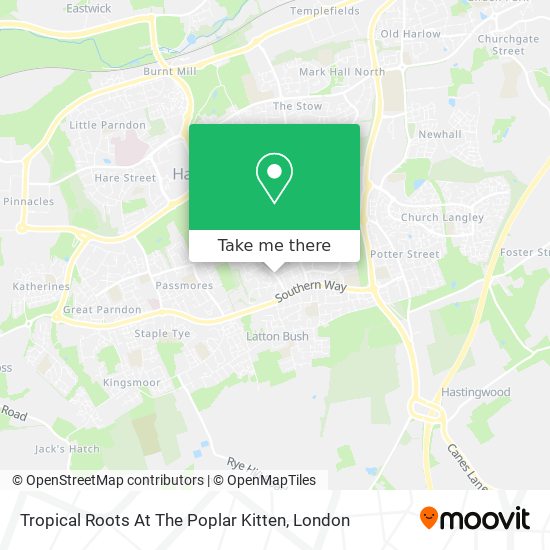 Tropical Roots At The Poplar Kitten map