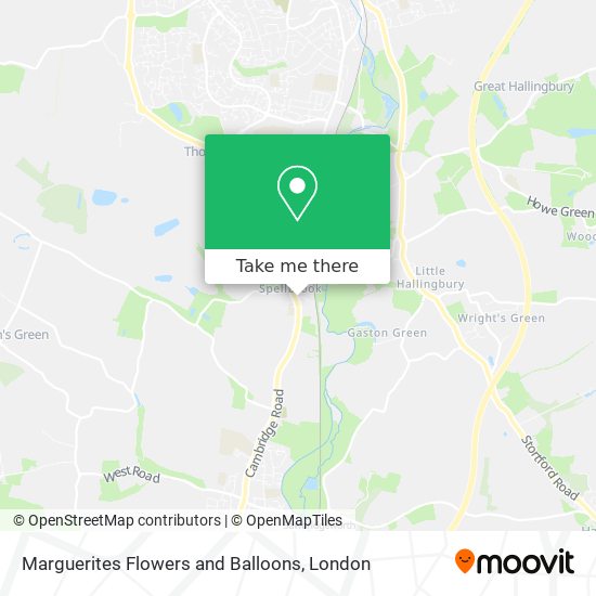 Marguerites Flowers and Balloons map